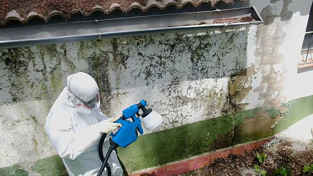 Mold Removal service in Nottingham